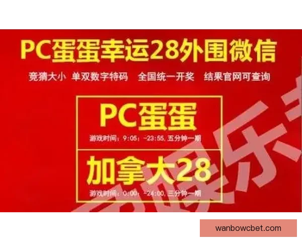 世界杯竞猜投注规则解析与投注技巧分享助您赢得更多奖励 世界杯竞猜投注规则解析与投注技巧分享助您赢得更多奖励